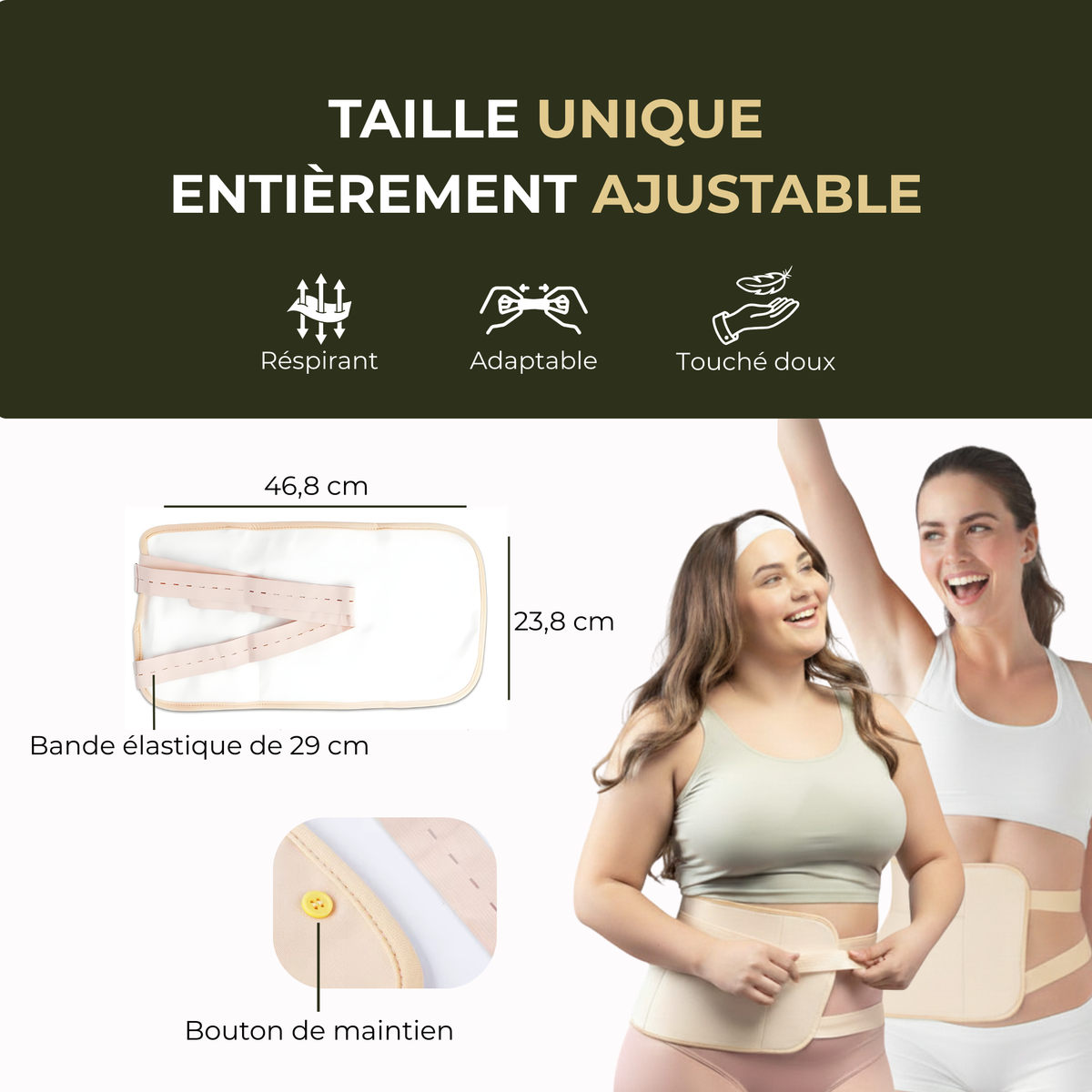 Enveloppement ventral ancestral