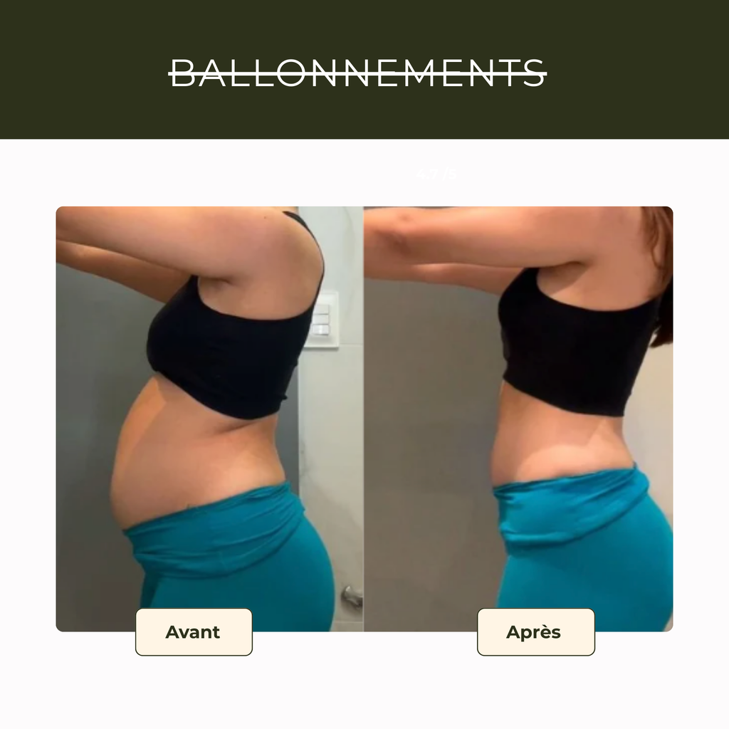 Enveloppement ventral ancestral