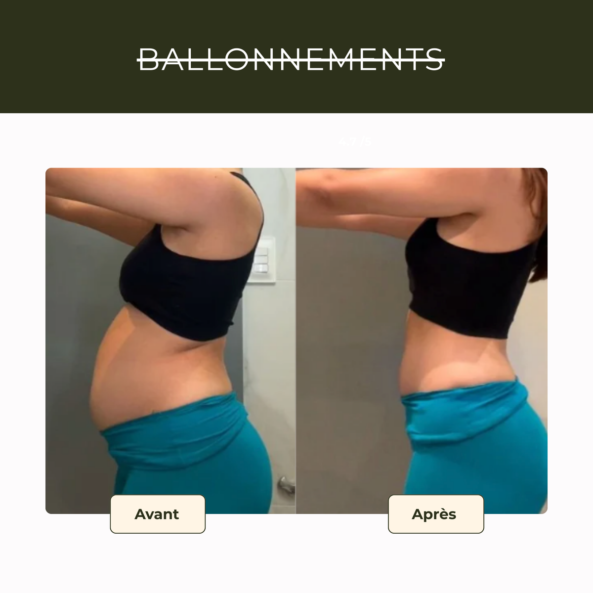 Enveloppement ventral ancestral